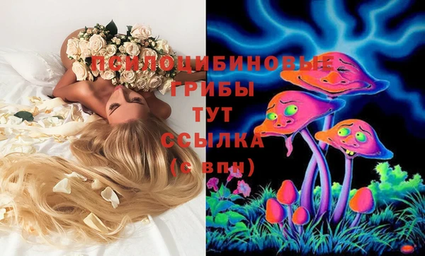 дурь Абдулино