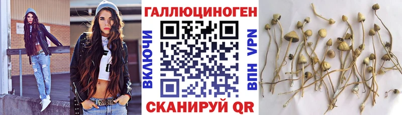 цены   Зарайск  мориарти официальный сайт  Псилоцибиновые грибы мицелий 